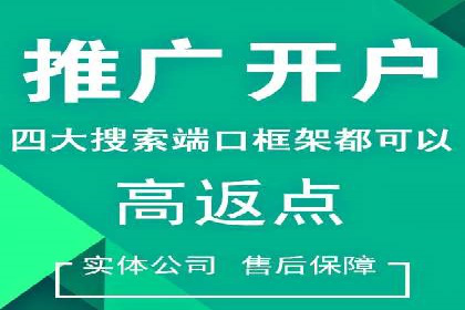 SEM公司案例分析：搜索引擎优化策略与执行
